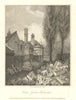 Cotton Garden during the old Palace of Westminster's demolition. J.T. Smith 1807