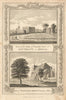 Minchington Hall, Southgate Green. Waltham Abbey Church, Essex. WALPOOLE 1794