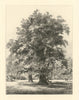 The Garden of Christ’s College, Cambridge—antique etching by H. Toussaint 1881