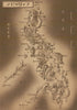 WW2 Philippines campaign—Japanese landings & air attacks—Asahi—January 1942 map