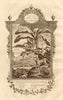African animals & birds. Chameleon Porcupine Panther Crocodile 4-wing bird 1779