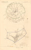 DENBIGH borough/town plan. BOUNDARY REVIEW. Wales. DAWSON 1837 old antique map