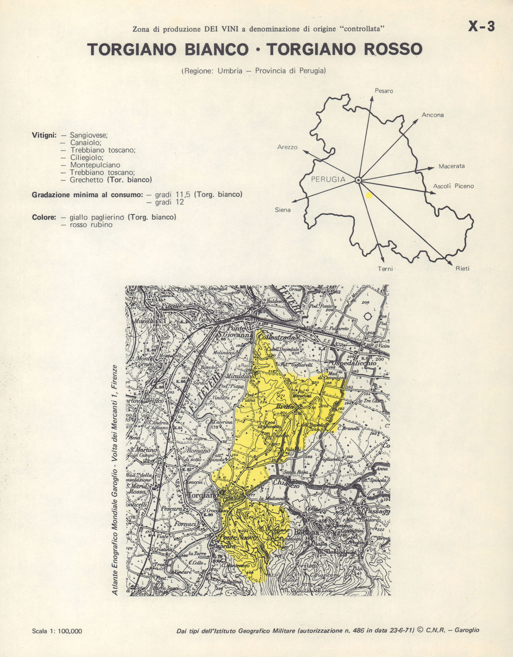 Italy wine. Torgiano Bianco & Rosso DOC. Umbria. Perugia 1976 old vintage map