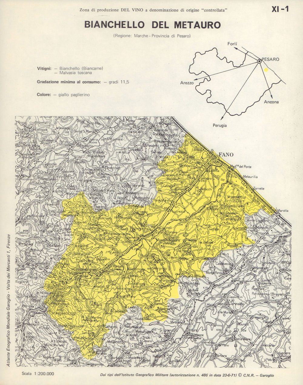 Italy wine. Bianchello del Metauro DOC. Marche. Pesaro 1976 old vintage map