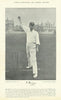 Walter Hearne. Medium-paced right-arm bowler. Kent cricketer 1895 old print