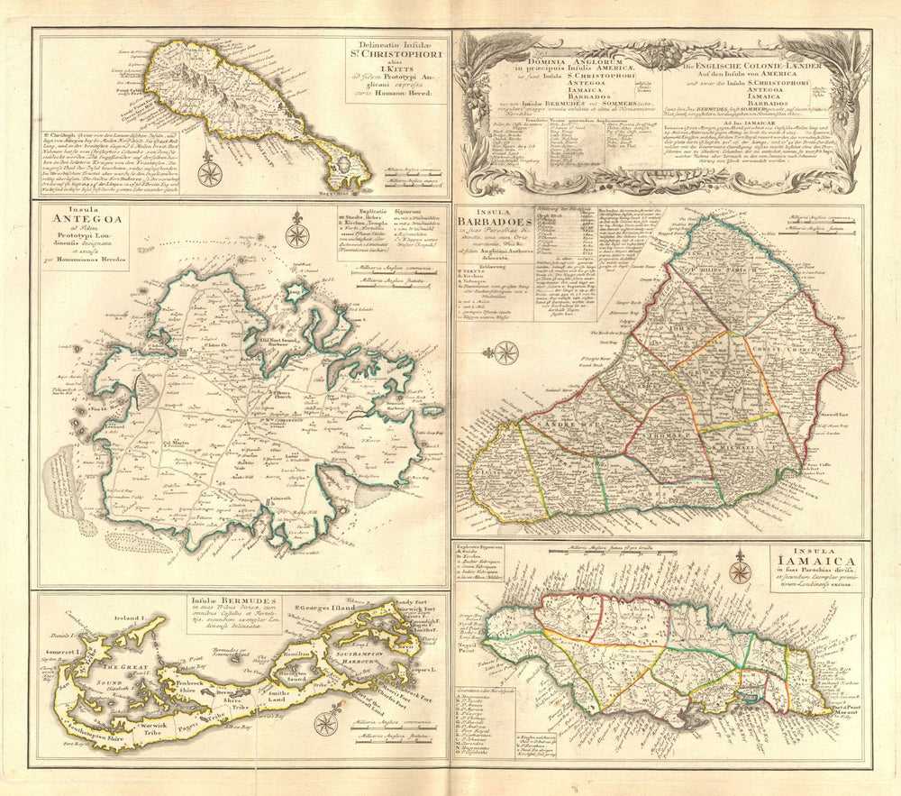 'Dominia Anglorum..' Antigua St Kitts Bermuda Barbados Jamaica. HOMANN c1740 map