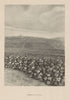 Cramant, Côte de Blancs, Champagne vineyards and village 1944 old print