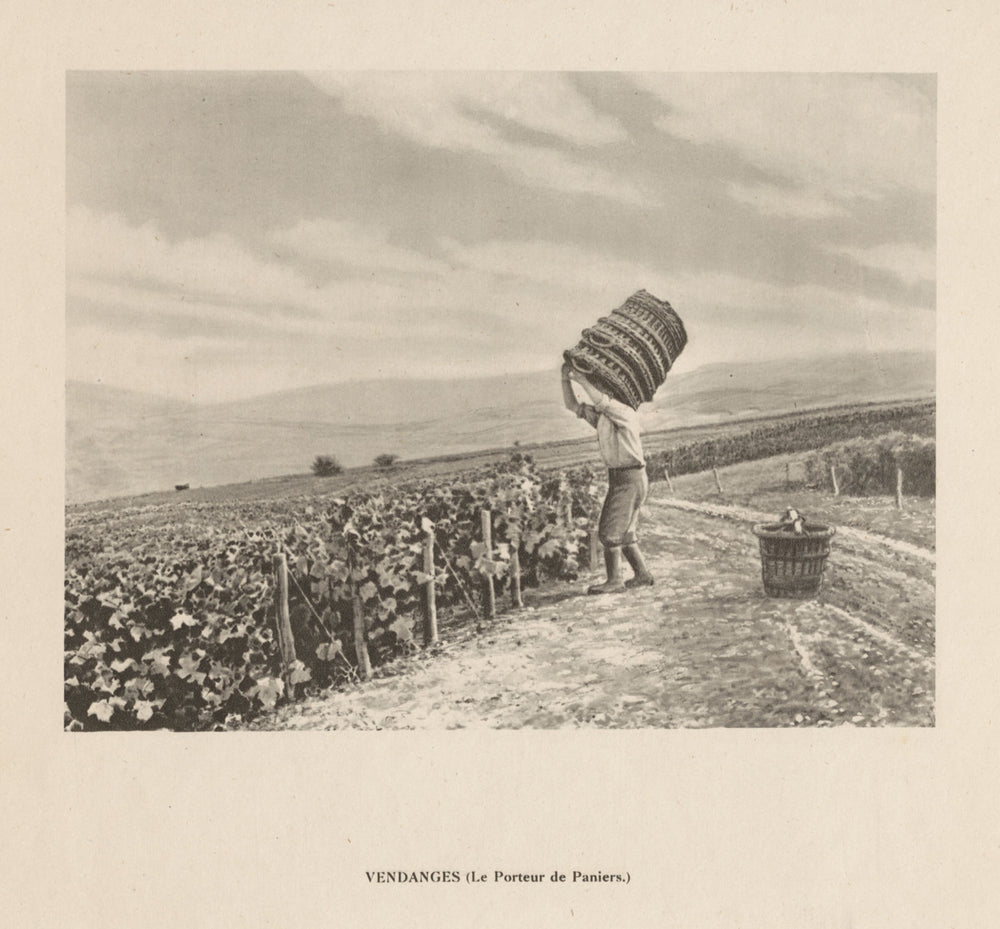 Vendanges - Le Porteur de Paniers. Champagne grape harvest 1944 old print