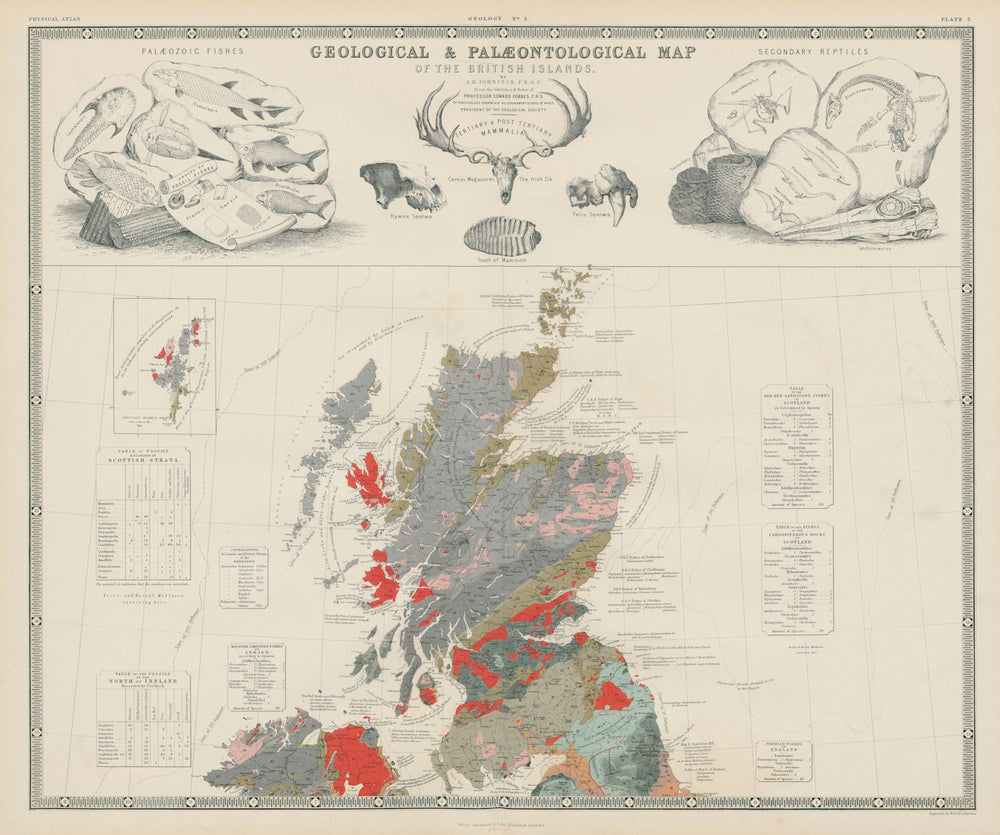 Geological & Palaeontological Map of the British Isles: North. Scotland 1856
