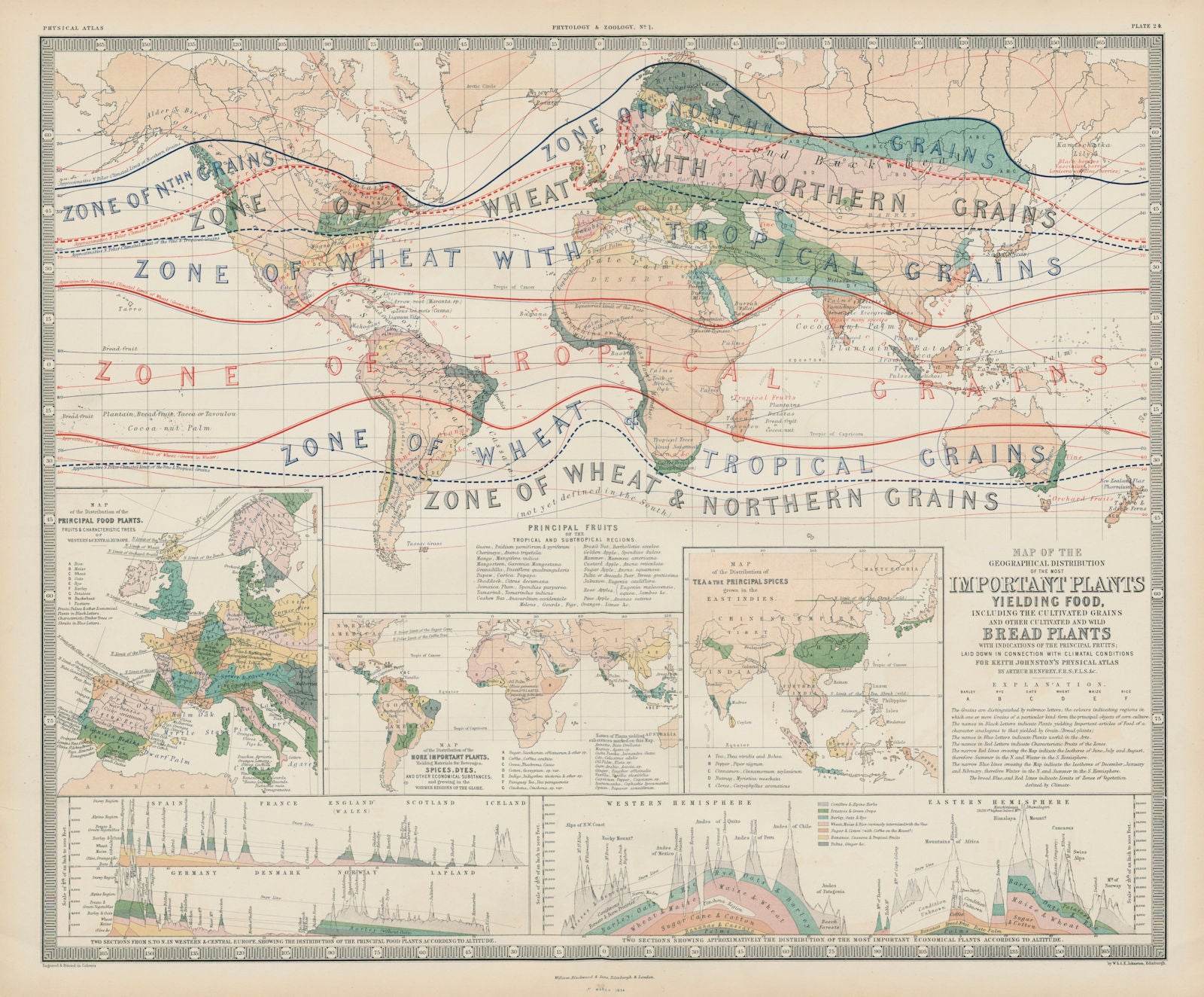 World crop / food distribution. Grains & bread plants. JOHNSTON 1856 ...