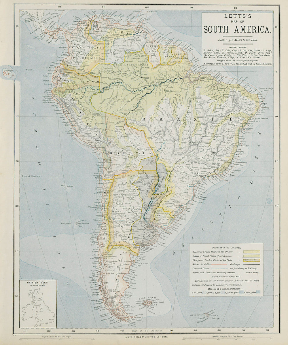 SOUTH AMERICA. Amazon rainforest. Pampas Selvas Llanos. LETTS 1884 old map