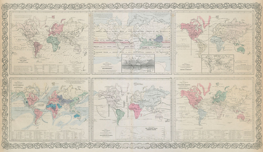 World. Cotidal Ocean lines currents Meteorology plants animals COLTON 1869 map