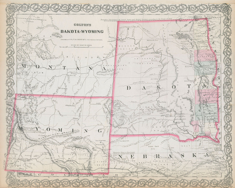 Colton's Dakota & Wyoming. Decorative antique US state map 1869 old