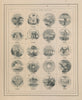 US States Arms. IL WI MN IA MO KY KS VA NC SC GA FL AL LA TX MS AR TN CA OR 1865