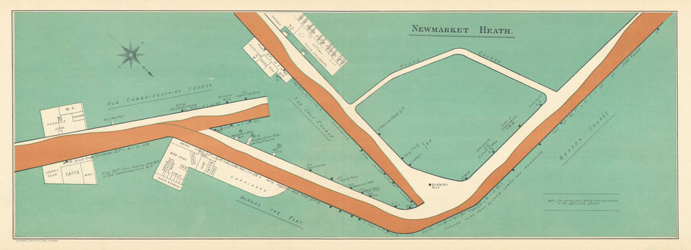 Newmarket Heath racecourse, Suffolk. BAYLES 1903 old antique map plan chart