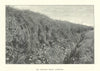 The Becher's Brook, Liverpool. Aintree Grand National. Horse racing 1903 print