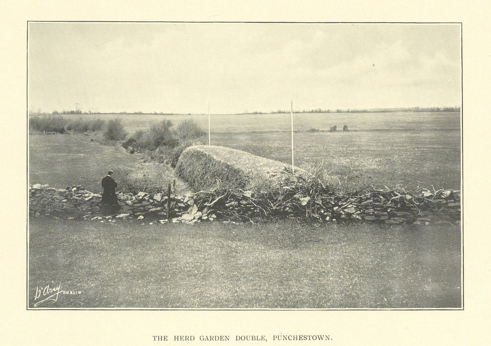 The Herd Garden Double, Punchestown. Horse racing. Ireland 1903 old print