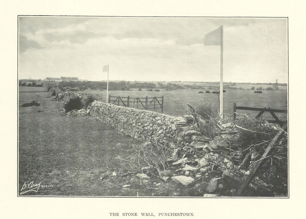 The Stone Wall, Punchestown. Horse racing. Ireland 1903 old antique print