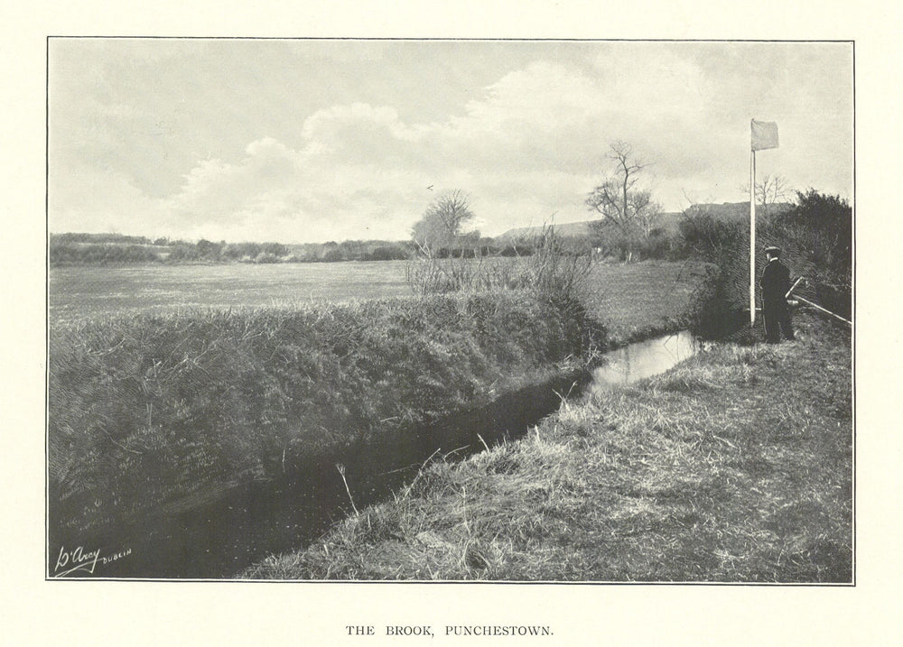 The Brook, Punchestown. Horse racing. Ireland 1903 old antique print picture