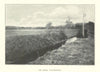 The Brook, Punchestown. Horse racing. Ireland 1903 old antique print picture