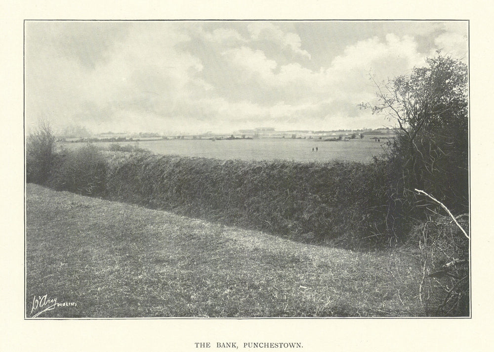 The Bank, Punchestown. Horse racing. Ireland 1903 old antique print picture