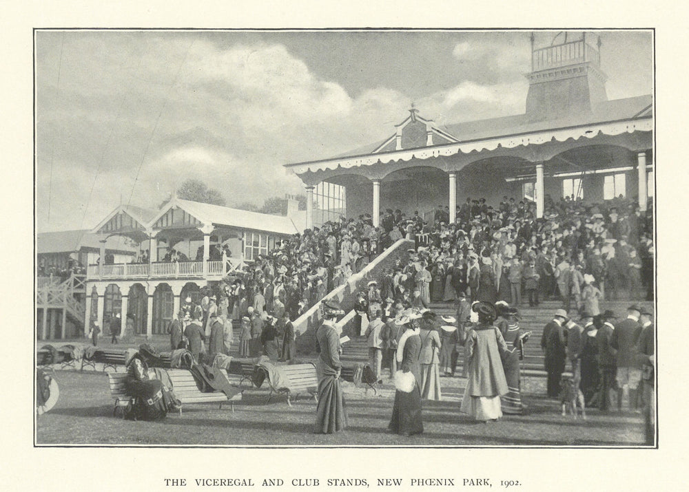 The Viceregal & Club Stands, New Phoenix Park race course 1902. Ireland 1903
