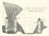 Cork Park Races - regulation fence. Horse racing. Ireland 1903 old print