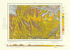 Egton. Vintage geological survey map. Sheet 43. Yorkshire North York Moors 1966