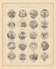 US States Arms. IL WI MN IA MO KY KS VA NC SC GA FL AL LA TX MS AR TN CA OR 1866