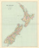 New Zealand. Counties. Railways. Large 64x50cm. STANFORD 1894 old antique map