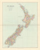 New Zealand. Counties. Railways. Large 64x50cm. STANFORD 1896 old antique map
