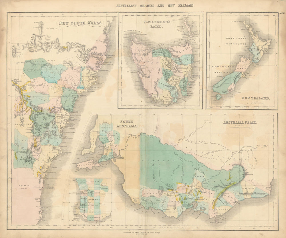 Australian Colonies & New Zealand. N/S Durham provinces. Goldfields 1850 map