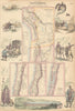 West Coast of South America. Chile, Bolivia & Peru. FULLARTON c1863 old map