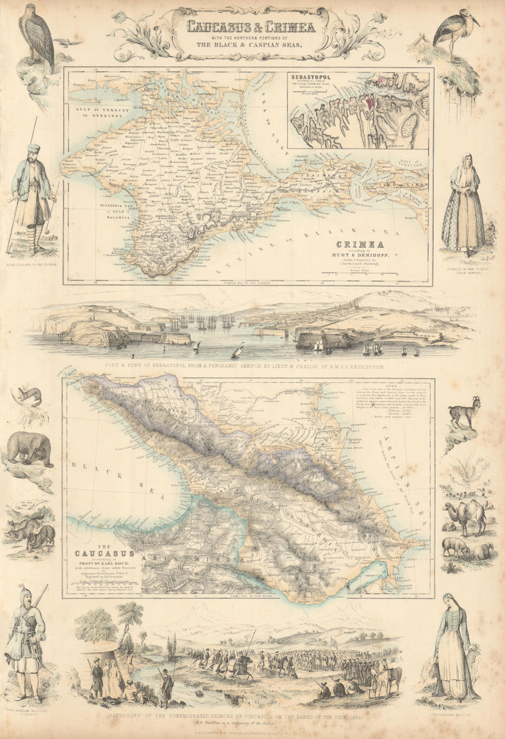 Caucasus & Crimea with the Northern Portions of Black & Caspian Seas c1863 map