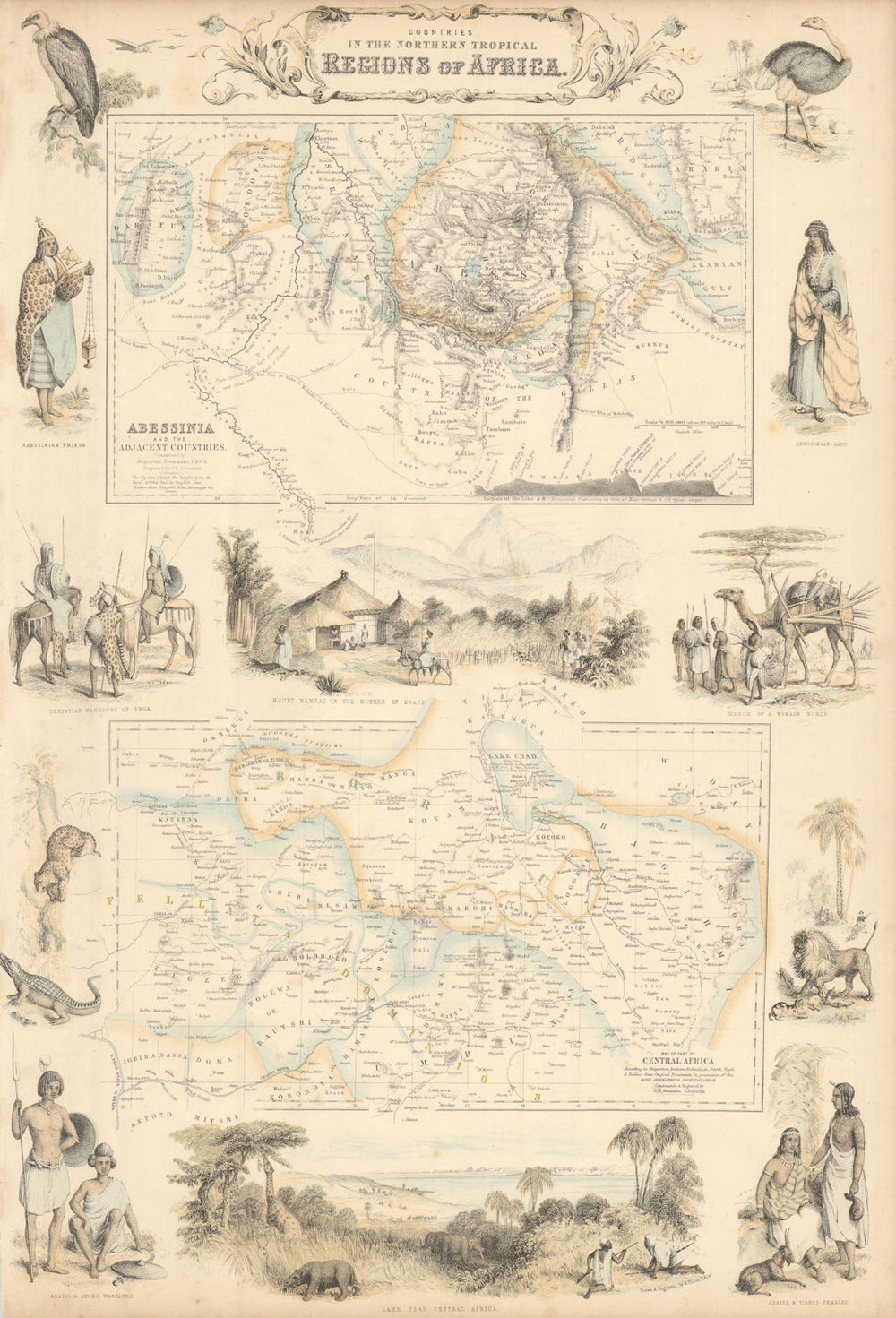 Northern Tropical Regions in Africa. Abyssinia. Lake Chad. Nigeria c1863 map