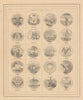 US States Arms. IL WI MN IA MO KY KS VA NC SC GA FL AL LA TX MS AR TN CA OR 1865