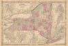 Johnson's New York state map. Albany Troy Rochester Buffalo Syracuse 1865