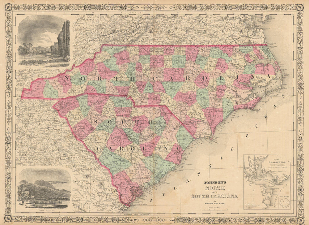 Johnson's North & South Carolina showing counties. Charleston 1865 old map