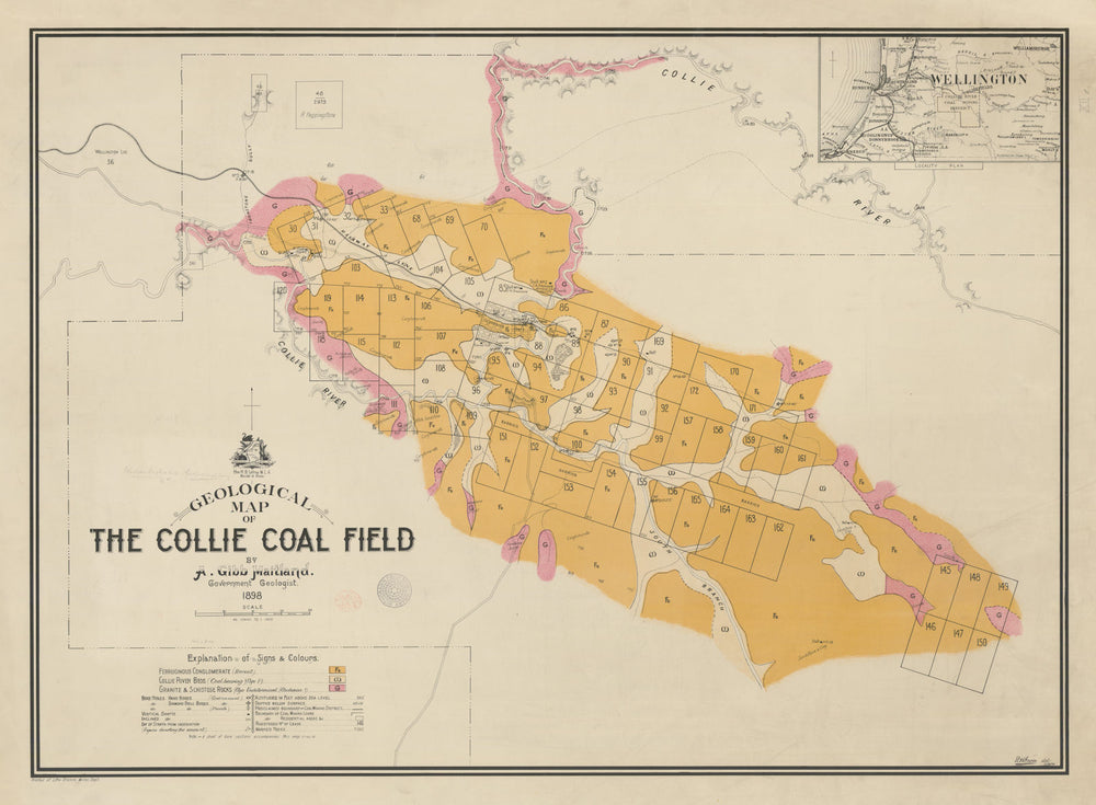 Geological map of the Collie coal field—Western Australia 1898 old antique