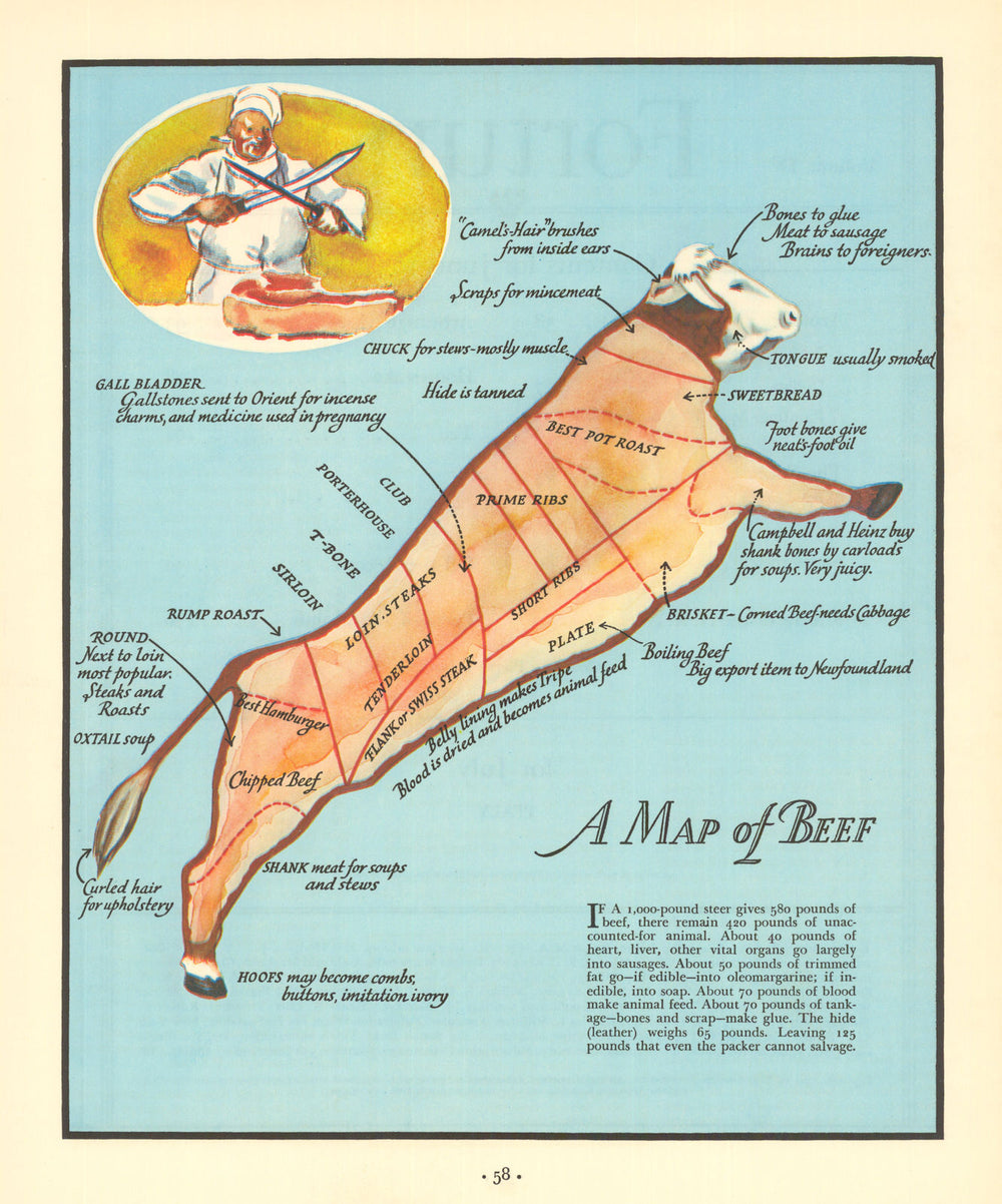 A Map of Beef—butchery chart—American steer cuts & by-products—Fortune mag 1934