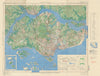 Japanese occupied Singapore/Johore Bahru—ALFSEA—from air photos 1945 (1950) map