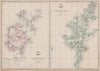 THE ORKNEY & SHETLAND ISLANDS. Scotland. Edward WELLER. Dispatch atlas 1863 map