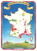 Vignobles de France. French wine regions poster map. SOPEXA/CNVF/Edery 1970s