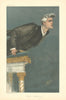 VANITY FAIR SPY CARTOON Rev. Reginald Campbell 'Fearless but Intemperate' 1904